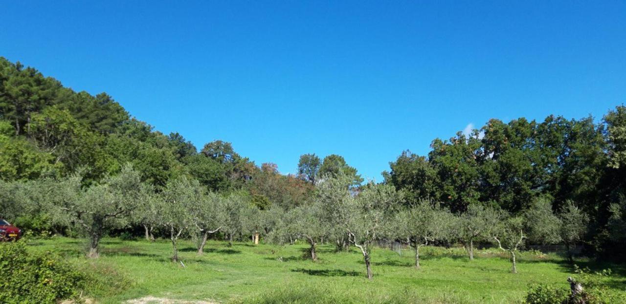 Agricampeggio Borgo Agna San Giustino Valdarno Exterior photo