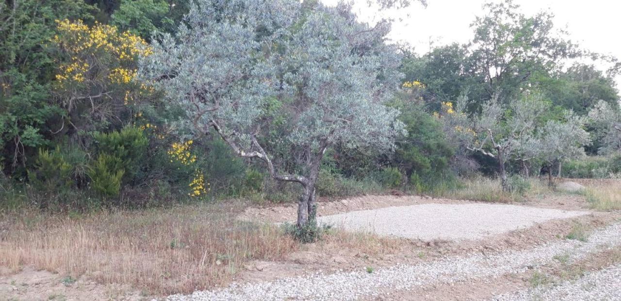 Agricampeggio Borgo Agna San Giustino Valdarno Exterior photo